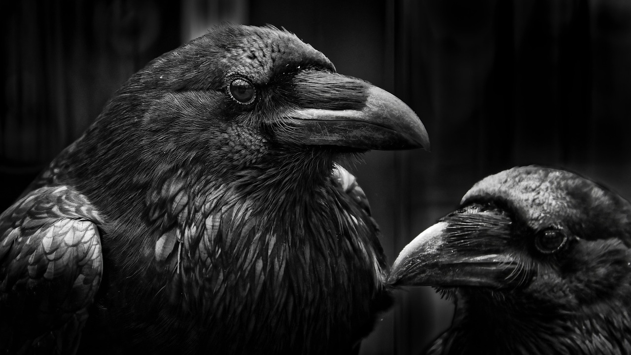 夏バテ対策におすすめの口内炎に良い食べ物は？