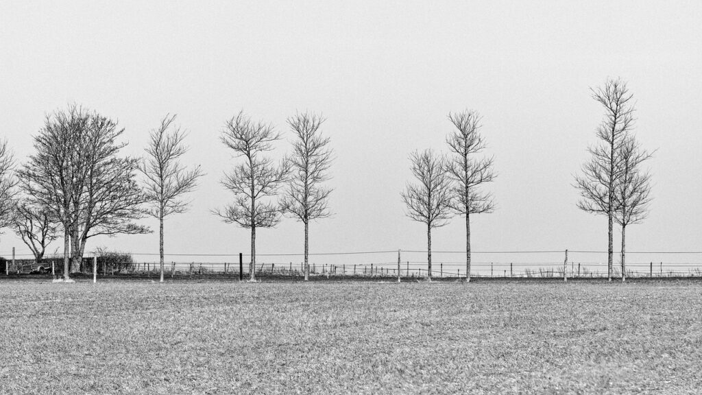 夏バテ対策に最適な冷凍食品活用メニューは？