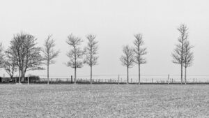 夏バテ対策に最適な冷凍食品活用メニューは？