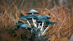 夏バテで食欲がない時に食べないと危険な理由は？