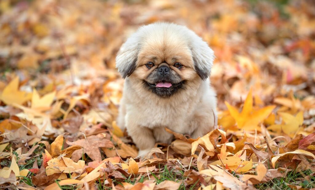 夏バテで食欲がない日のお助けごはんは何？