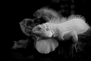 夏バテ対策にゼリー飲料だけで大丈夫なの？