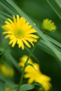 夏バテで少食でも食べやすいメニューは何？