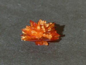 夏バテ対策にカリウムが多い食べ物は何ですか？