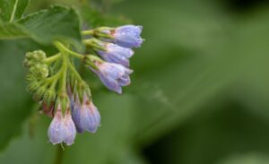 夏バテの時に寝る前に食べてもいいものは？