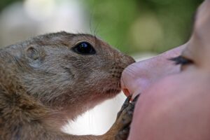 夏バテに効く食事メニューはどれがベスト？