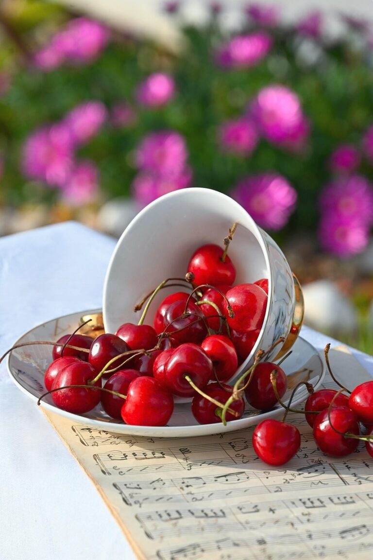 夏バテに効く食べ物は？口コミ評判で選ぶベストアイテム！