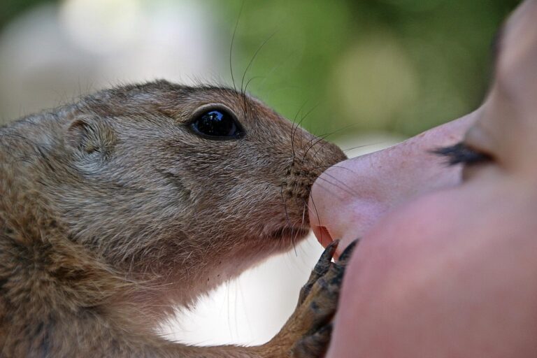 夏バテに効果的な食べ物の安全性は？