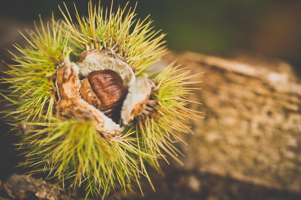 夏バテ解消に効果的な食べ物は何？旬の食材を活用しよう！