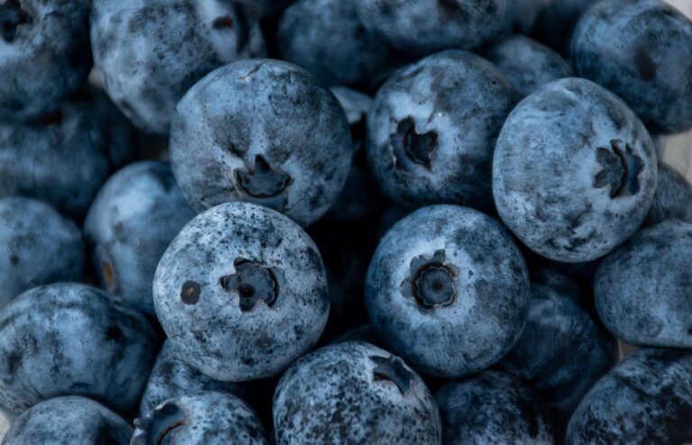 夏バテに効果的な食べ物は？失敗しない例を紹介！